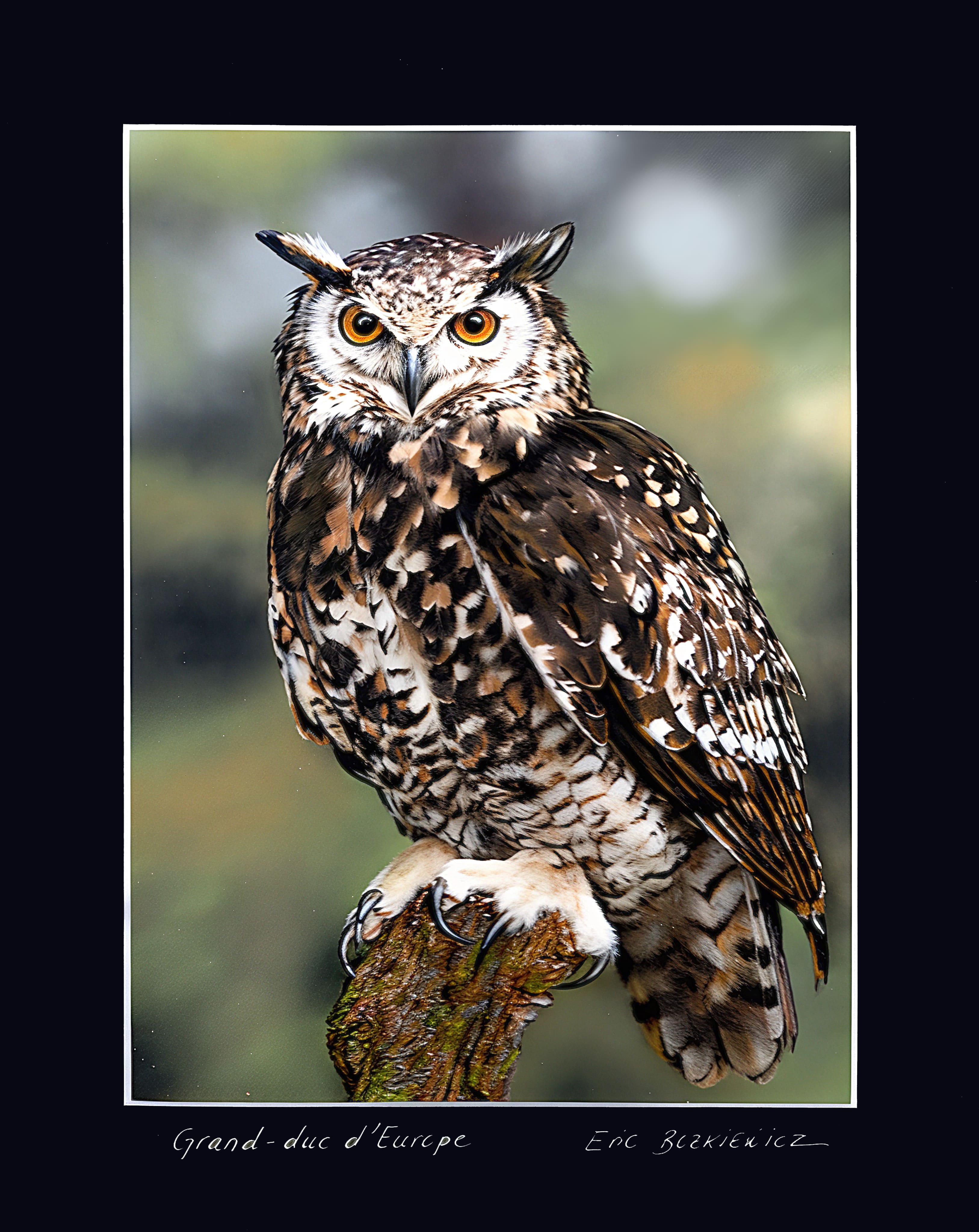 Grand-duc d’Europe